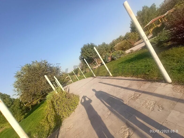 عطر یاس در