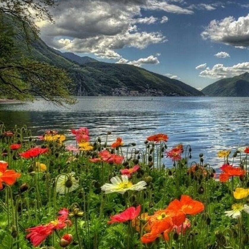 میم. الف