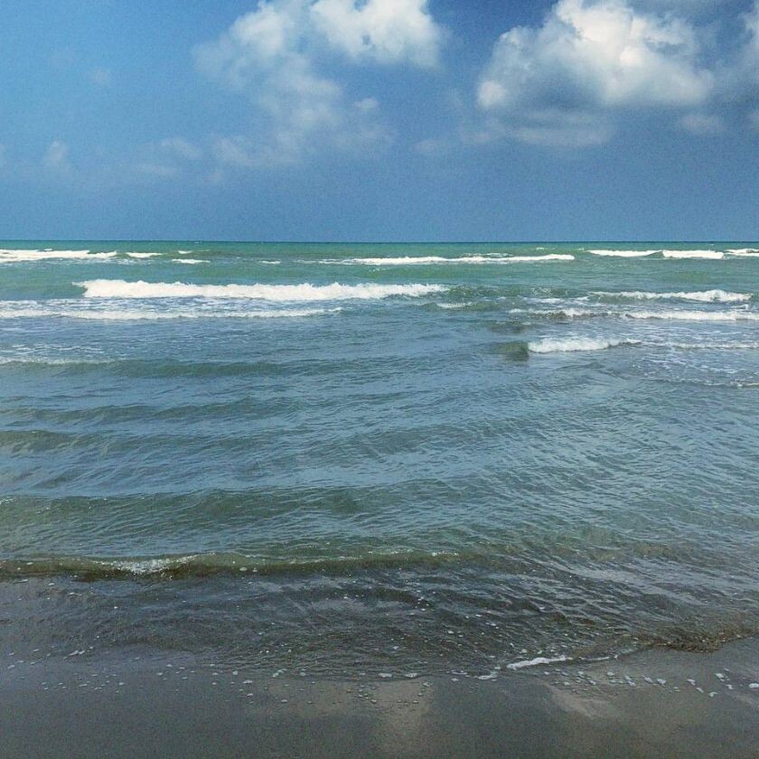 ریجانه هژبری