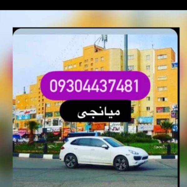 علیرضا میانجی