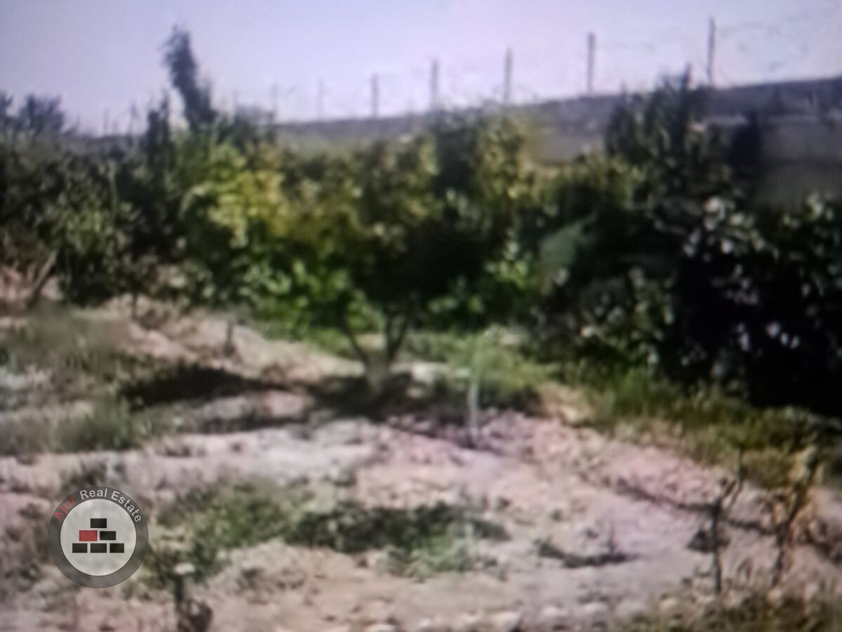 2100متری باغ ویلا سندی عرصه اعیان در خرید باغ و باغچه حصار مهتر رباط کریم عکس شماره 9