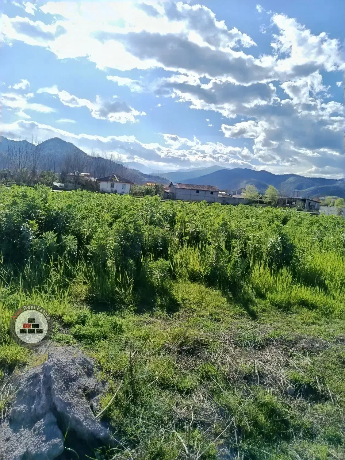 فروش زمین مسکونی در شاندرمن ماسال / پروانه ساخت / 300 متری در خرید زمین مسکونی شاندرمن ماسال عکس شماره 3