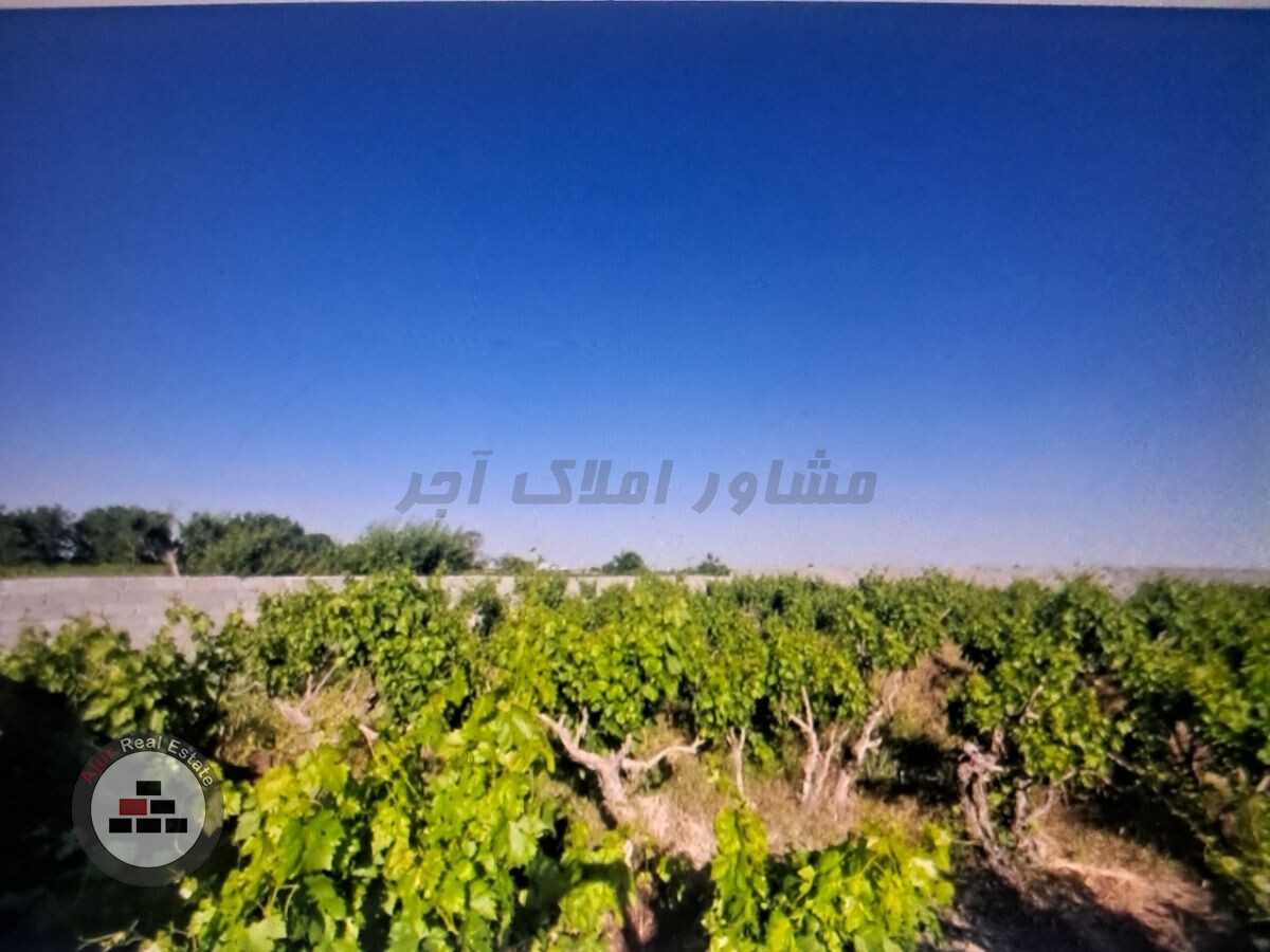 500متر باغ انگورحصارمهتر در خرید باغ و باغچه حصار مهتر رباط کریم عکس شماره 2