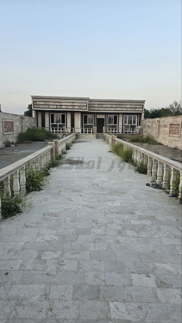 Image 8