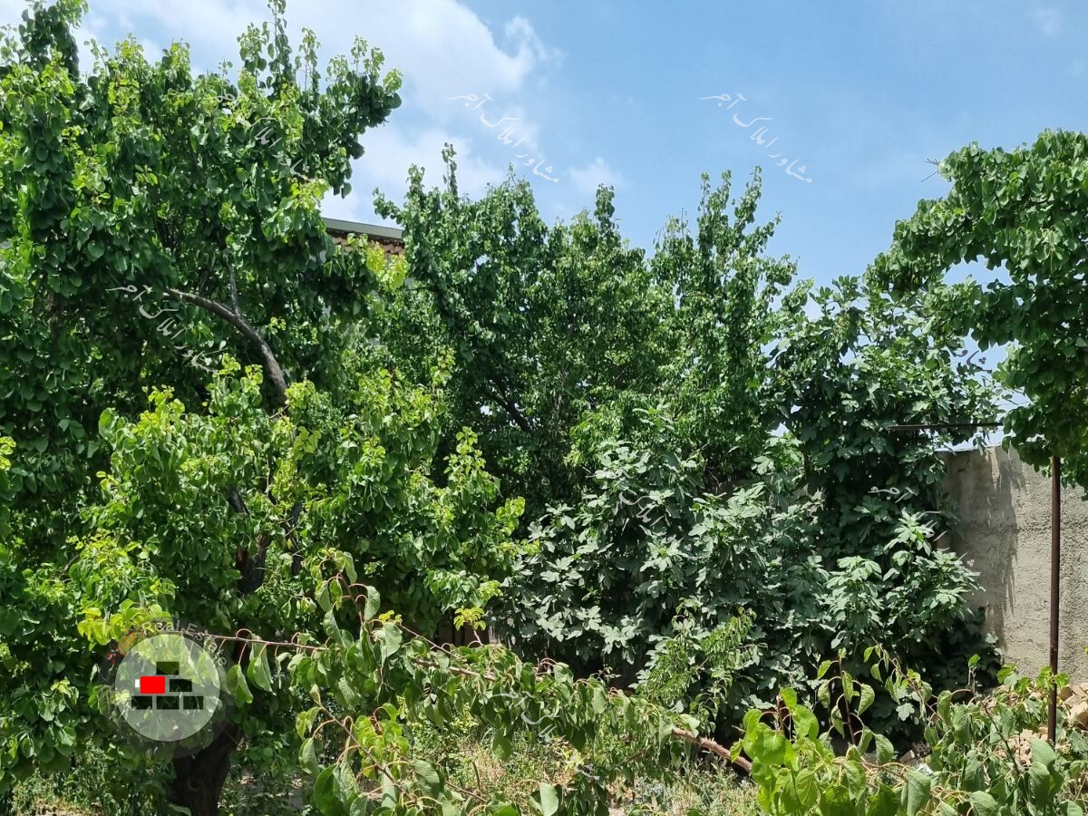 باغ ۱۵۰۰متری حسین مرادی در خرید باغ و باغچه انجم آباد رباط کریم عکس شماره 8