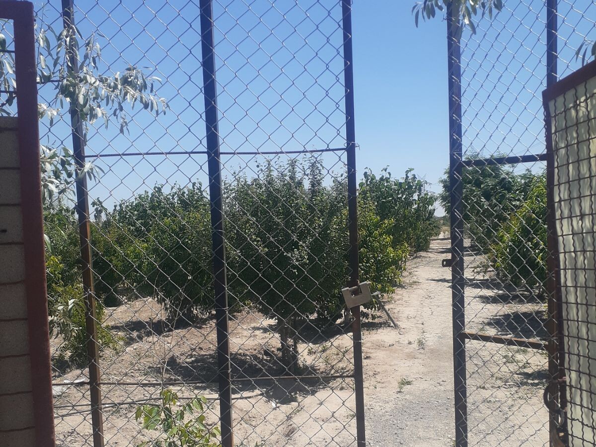 باغچه 480 متری رباط کریم دانبال برق در خرید باغ و باغچه رباط کریم عکس شماره 2