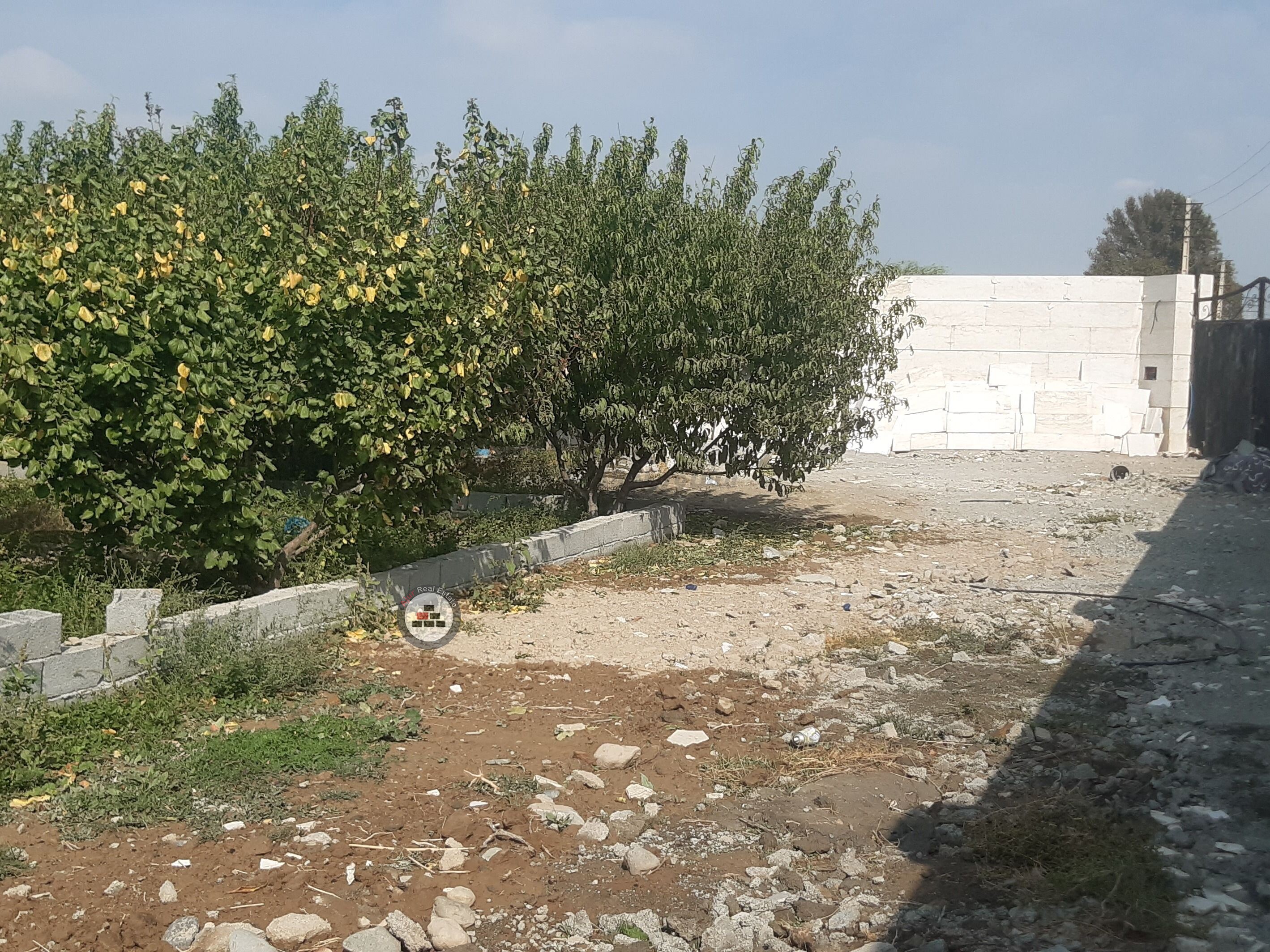 Image 10