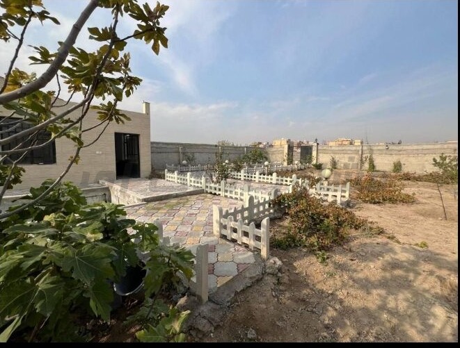 باغچه 600متری کیکاور در خرید باغ و باغچه عکس شماره 3
