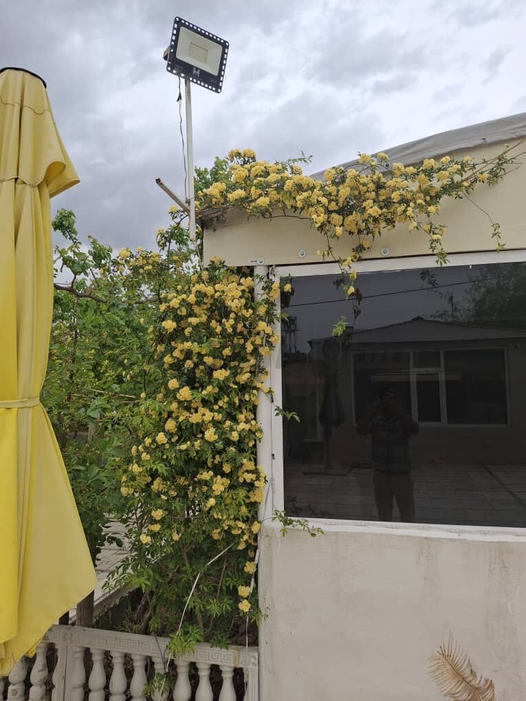 باغچه رستوران1460متری در خرید باغ و باغچه پیغمبر رباط کریم عکس شماره 1