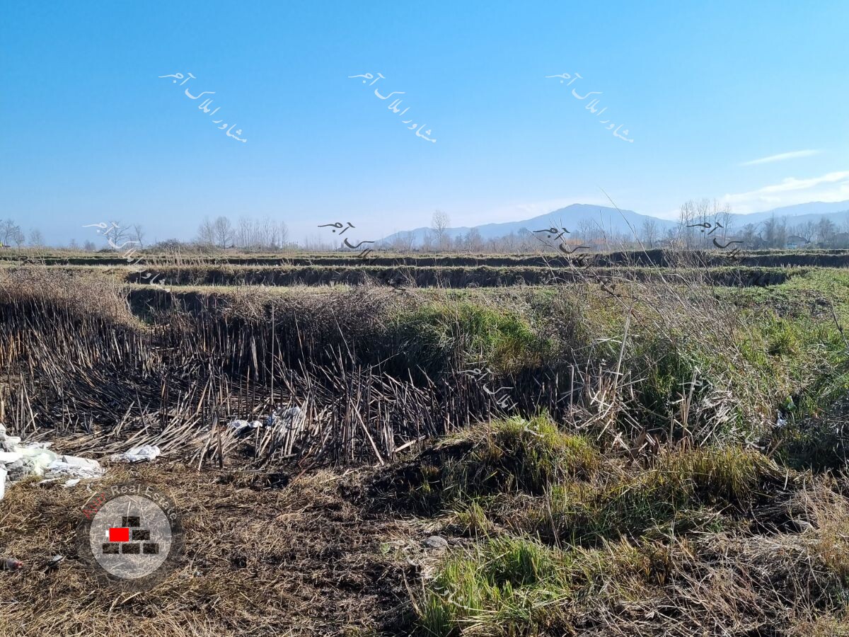 زمین مزروعی حصارمهتر عباس مرادی در خرید زمین زراعی شهرآباد رباط کریم