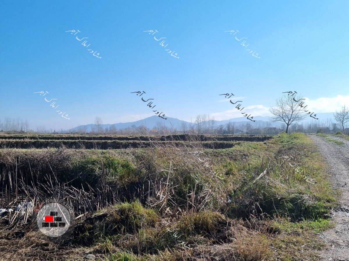زمین مزروعی حصارمهتر عباس مرادی در خرید زمین زراعی شهرآباد رباط کریم عکس شماره 2