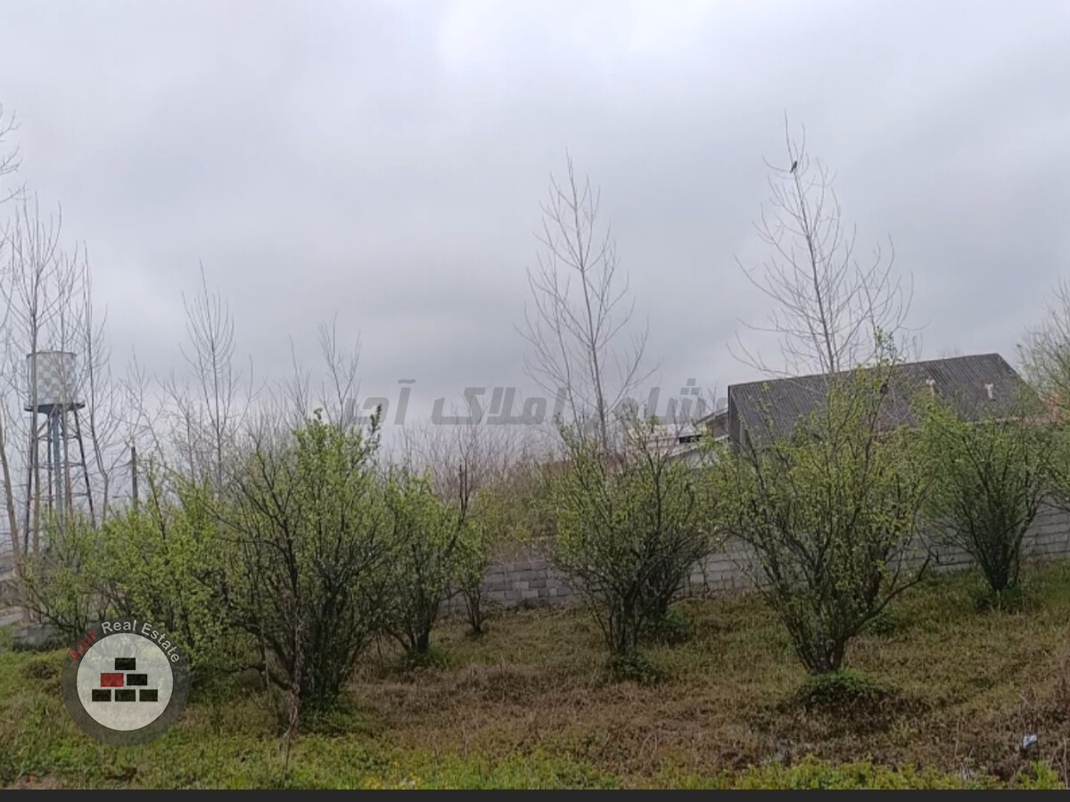 زمین مسکونی ۷۰۰ متر جاده رشت لاهیجان در خرید زمین مسکونی ابراهیم سرا آستانه اشرفیه عکس شماره 3