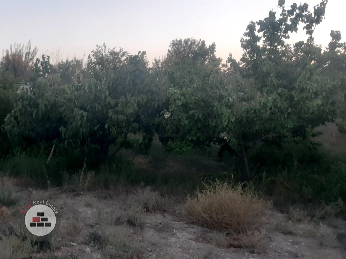 فروش باغچه ۱۲۰۰متری رباط کریم شترخوار در خرید باغ و باغچه وهن آباد رباط کریم عکس شماره 7