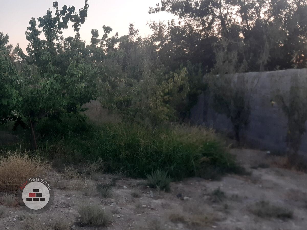 فروش باغچه ۶۰۰ متری رباط کریم شتر خوار در خرید باغ و باغچه وهن آباد رباط کریم عکس شماره 4