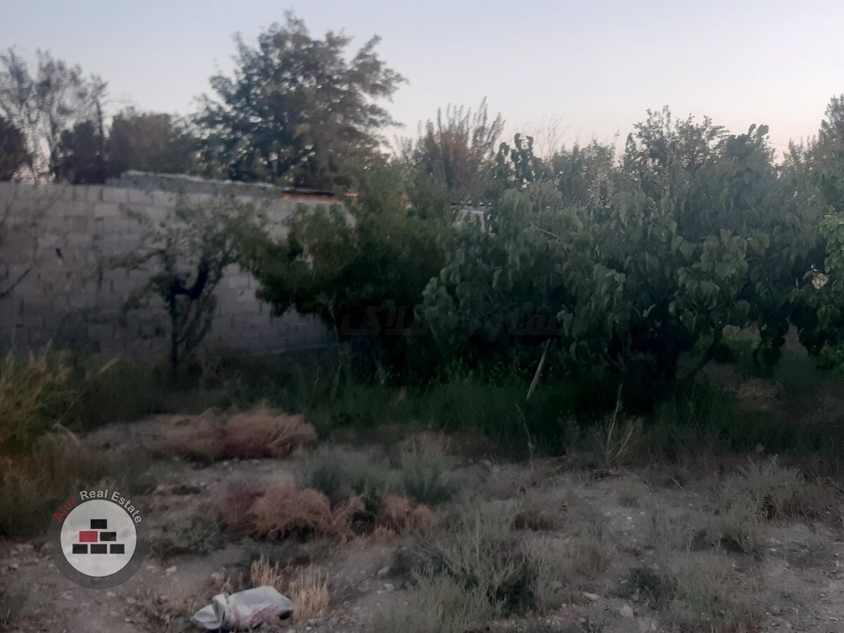 فروش باغچه ۶۰۰ متری رباط کریم شتر خوار در خرید باغ و باغچه وهن آباد رباط کریم عکس شماره 7