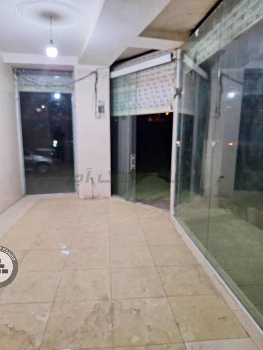 Image 5