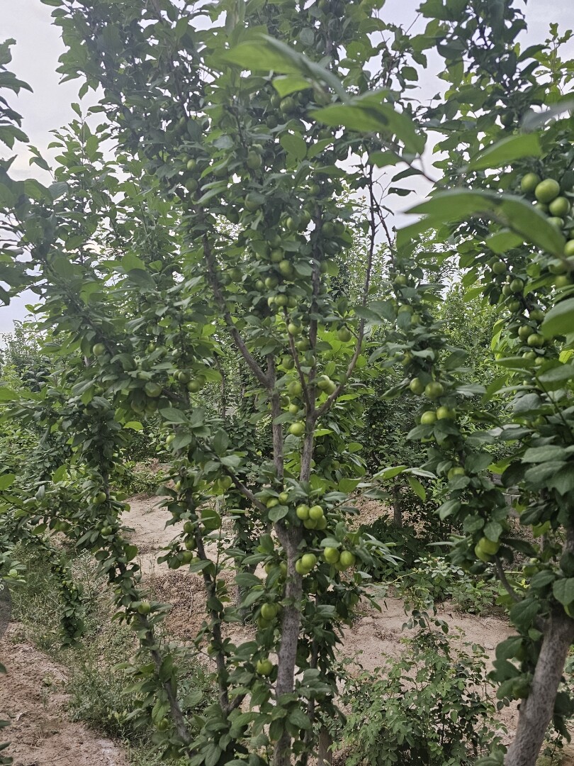 Image 10