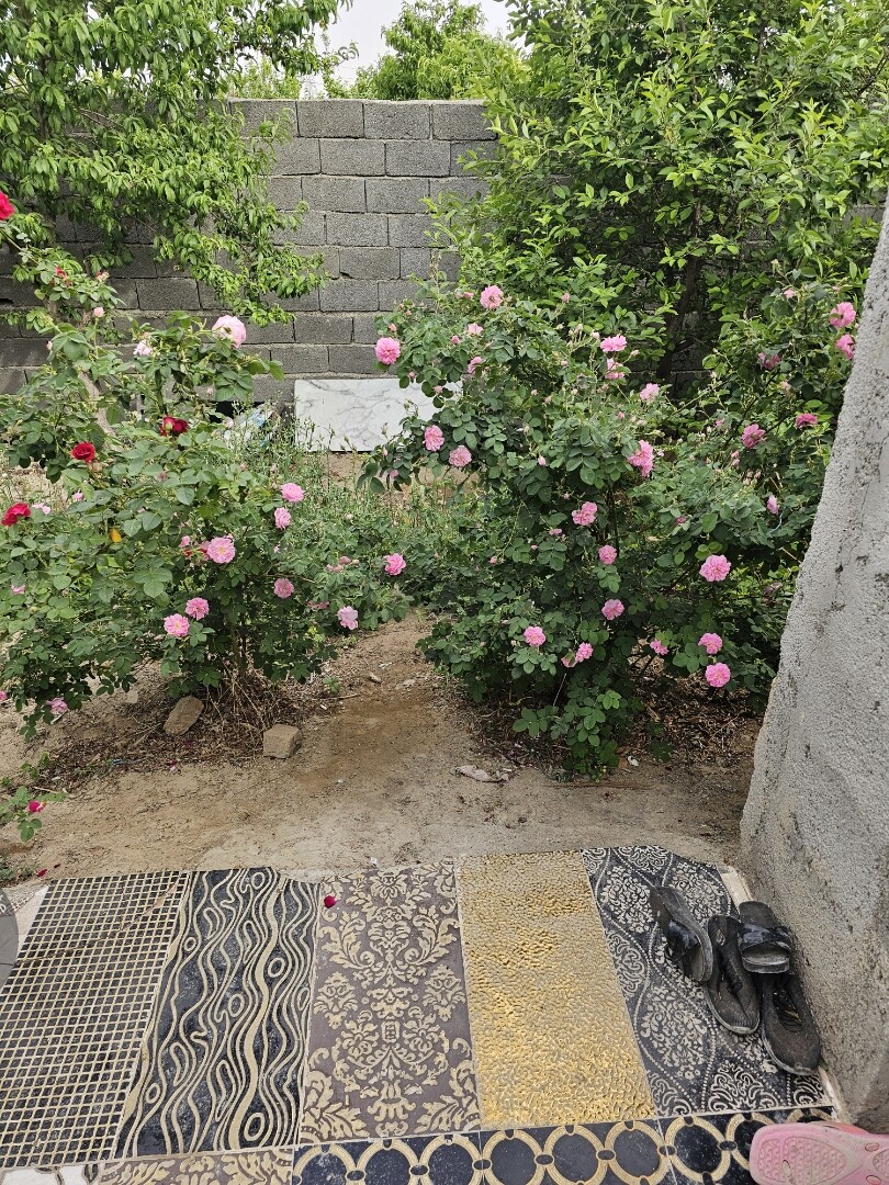 Image 13