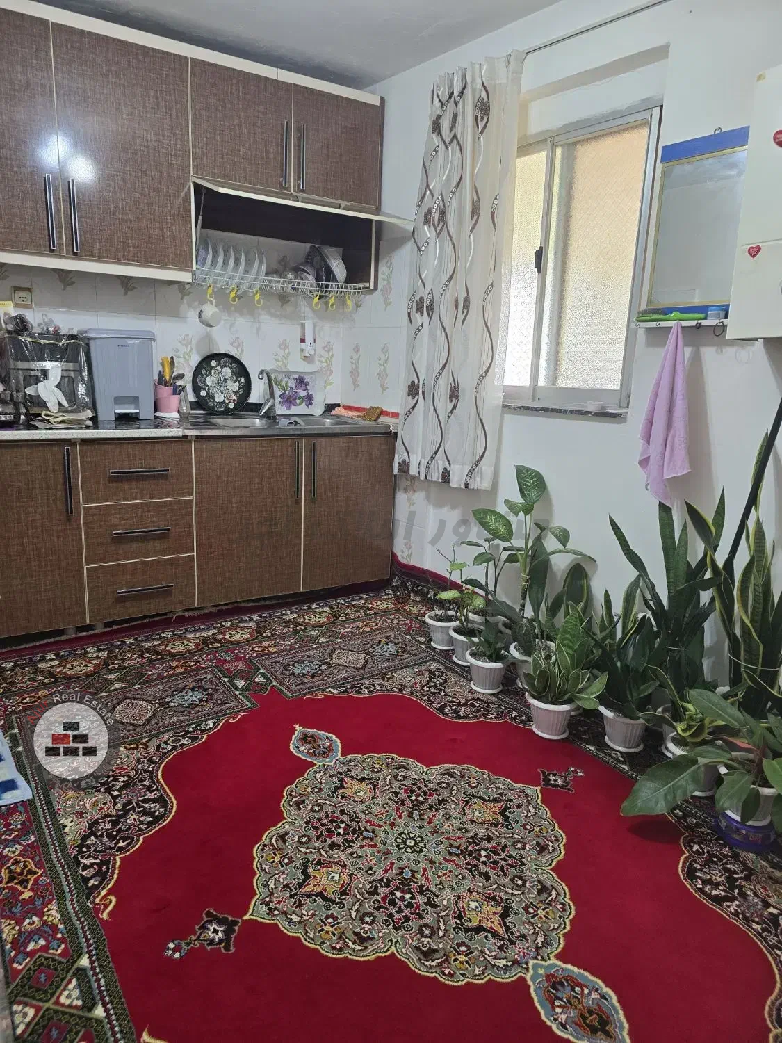 فروش ویلاباغ 570متری در چاف و چمخاله در خرید خانه ویلایی ساحل چمخاله چاف و چمخاله عکس شماره 2