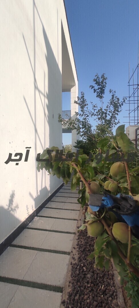 ویلا لاکچری شهرک خانه تهران در خرید خانه ویلایی شهرک خانه رباط کریم عکس شماره 7