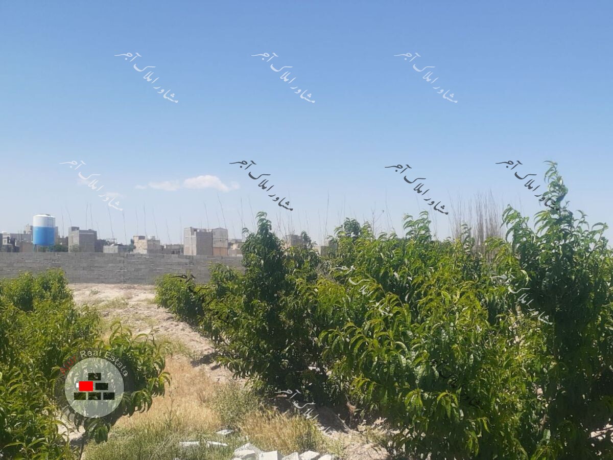 ۱۰۰۰ متر اصغر آباد در خرید باغ و باغچه عکس شماره 1