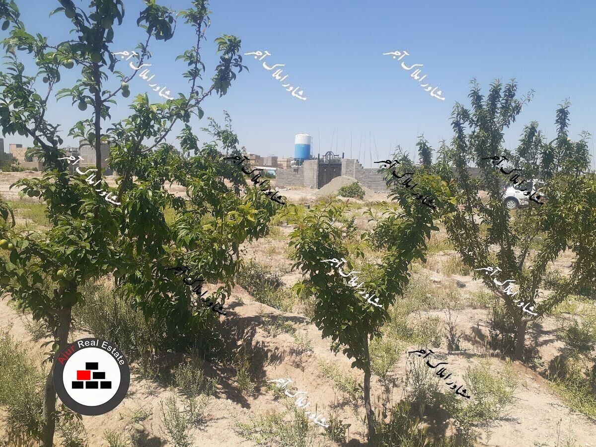 ۲۰۰۰ متر باغچه اصغر آباد رباط کریم در خرید باغ و باغچه اصغرآباد رباط کریم عکس شماره 1