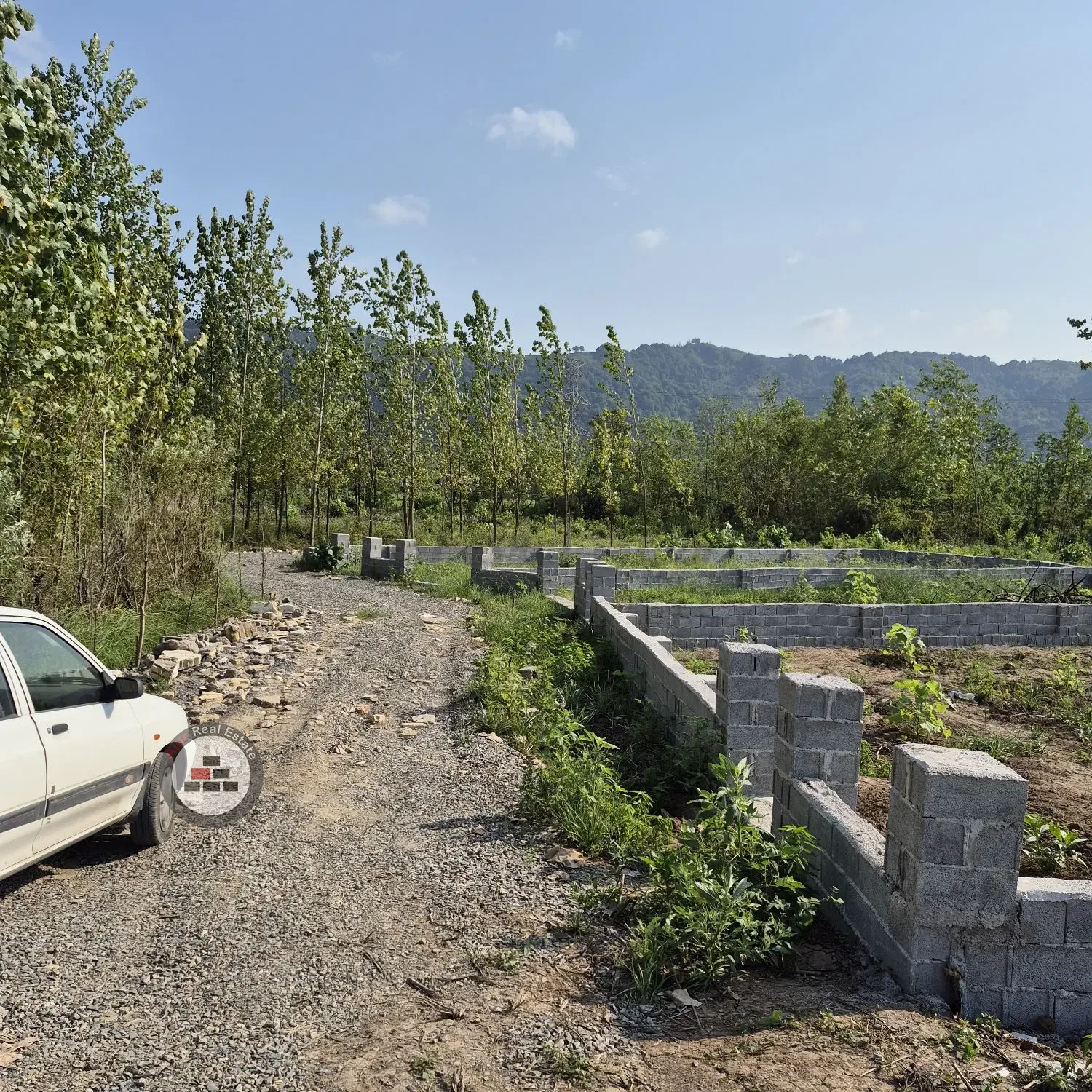 ۲۱۱ متر زمین دیوارکشی شده ، منطقه توریستی لیالستان در خرید آپارتمان خ رجایی لاهیجان عکس شماره 2