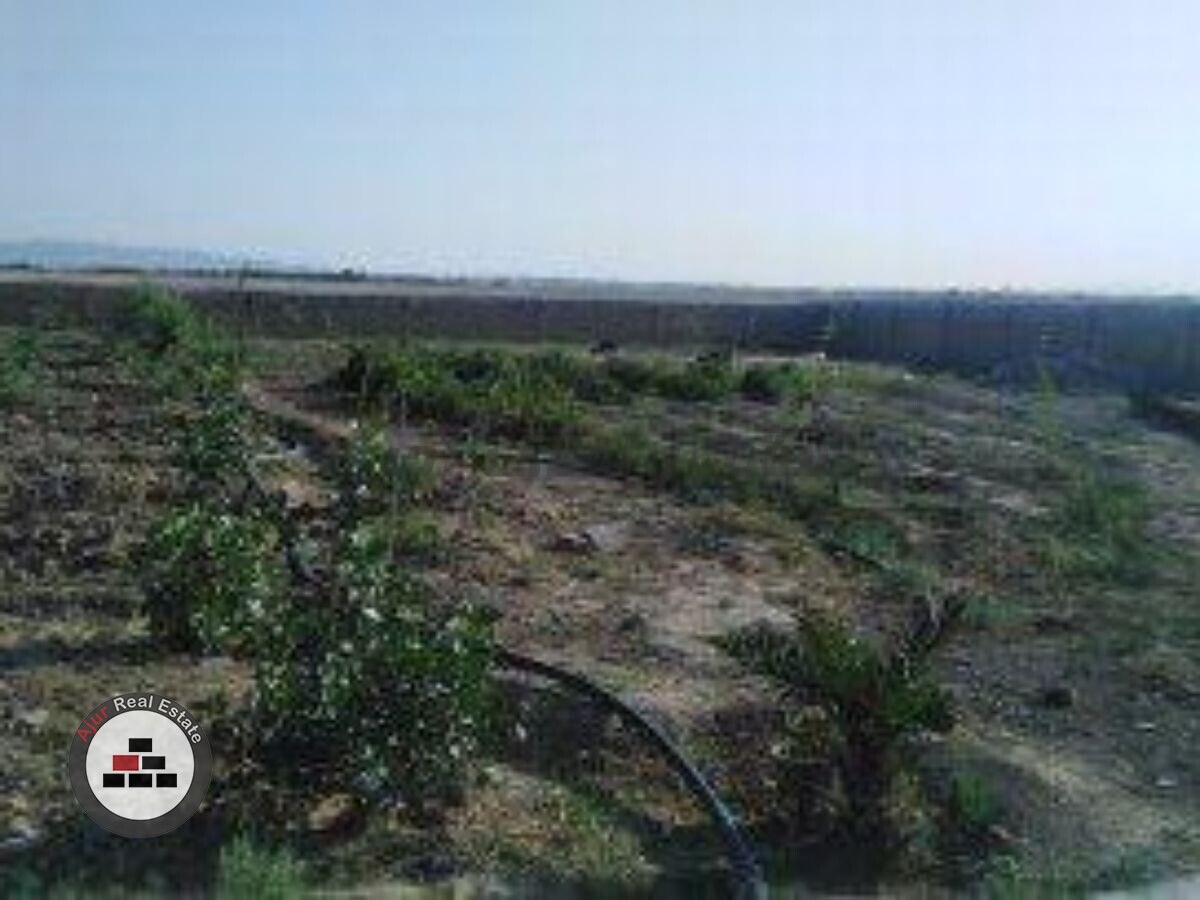 ۷۵۰۰مترصنعتی ابراهیم اباد در خرید صنعتی مرکز شهر رباط کریم عکس شماره 2