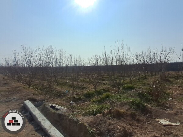 باغ وباغچه ۵۰۰متری منجیل اباد