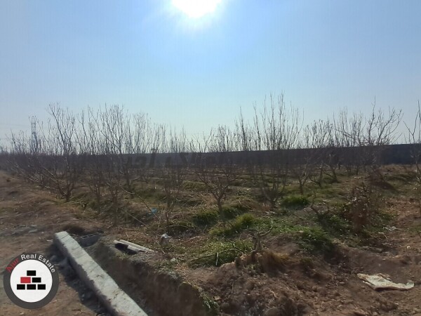 باغ وباغچه ۵۰۰متری منجیل اباد