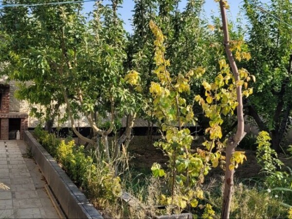 باغچه شهریار840متری بکه