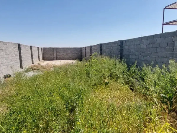 باغچه ۲۰۰ متری چسب مسکونی