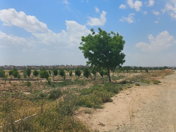 باغچه۵۰۰متری،رباط کریم(الارد)