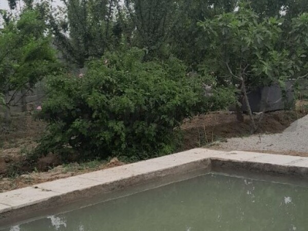 باغچه۶۴۰متری