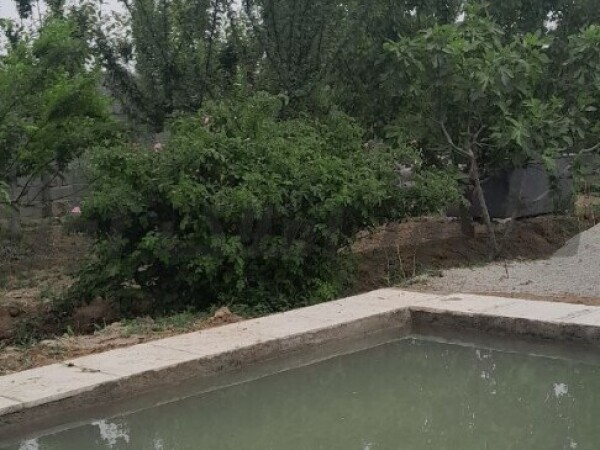 باغچه۶۴۰متری