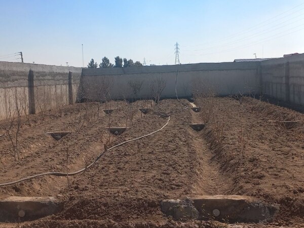 فروش باغچه۶۰۰متری،چهار دیوارو آب و برق ،شهرک خانه