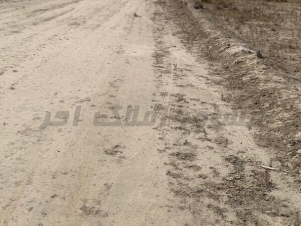 فزوش زمین