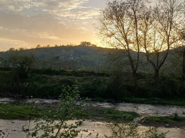 لاهیجان نخیر کلایه
