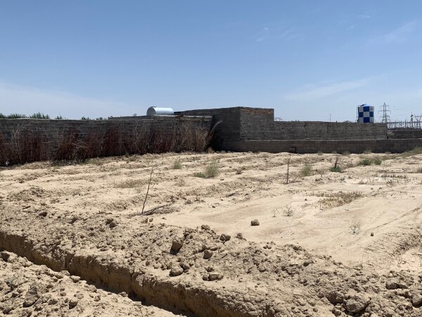 مجموعه . باغ و باغچه . شترخوار