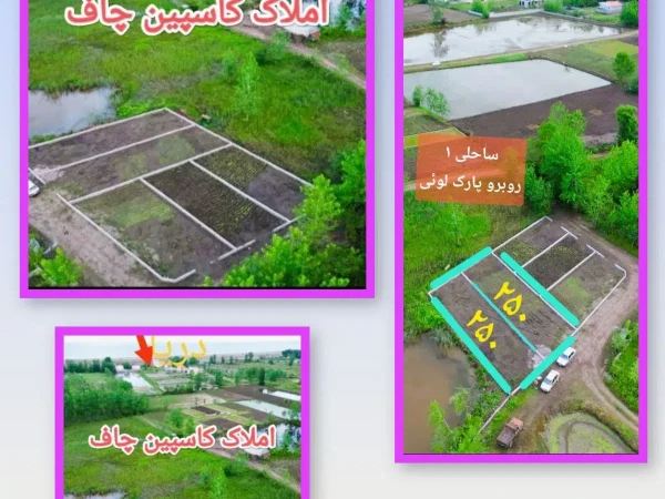 فروش زمین در چاف و چمخاله / ۲۵۰ متر / خوش قواره ساحلی ۲ قطعه