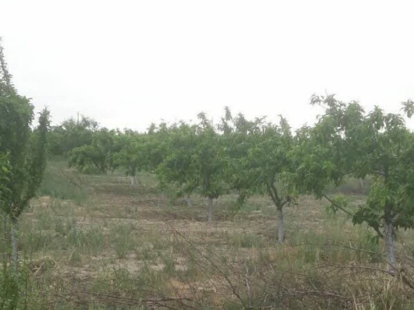 ۸۵۰۰متر دوکله روبرو شهرک خانه